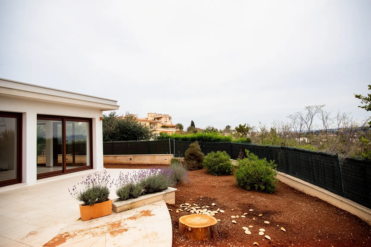 Terrasse niçoise dégagée après abattage du pin