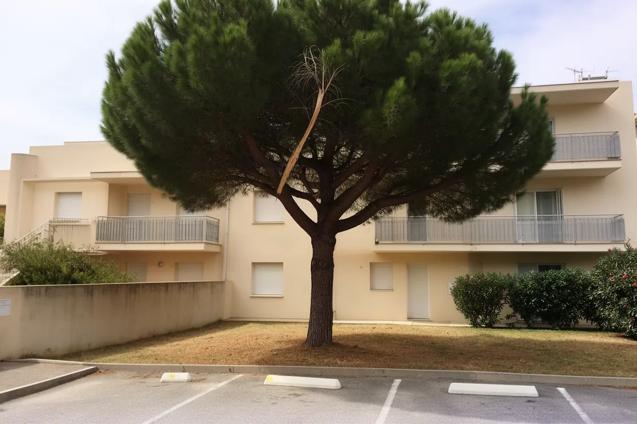 Pin au-dessus du stationnement avant taille à Cagnes-sur-Mer