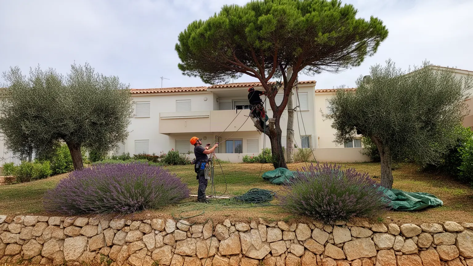 Élagueur professionnel à Saint-Laurent-du-Var et alentours